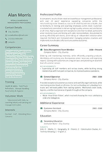 Professional CV writing service example - Standard Example 2
